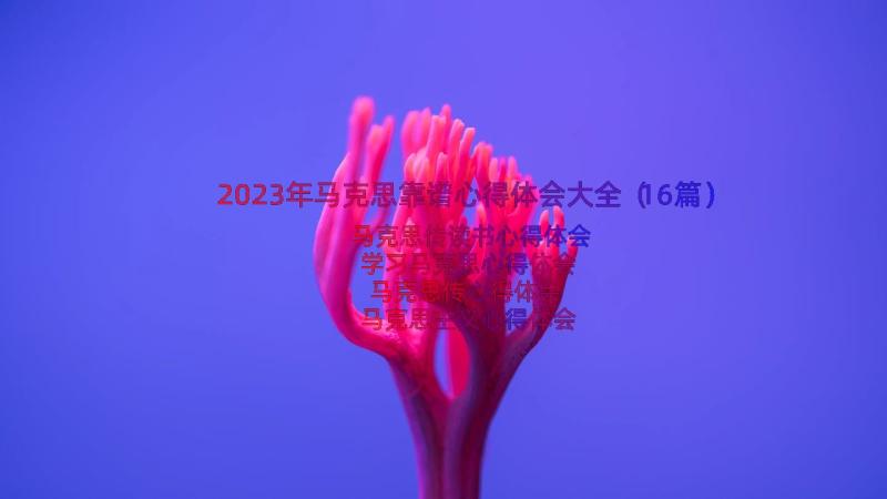 2023年马克思靠谱心得体会大全（16篇）