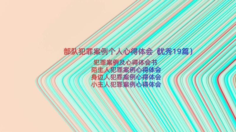 部队犯罪案例个人心得体会（优秀19篇）