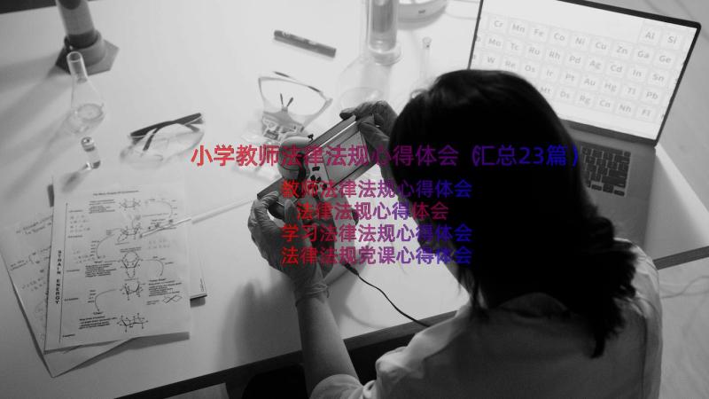 小学教师法律法规心得体会（汇总23篇）