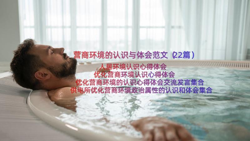 营商环境的认识与体会范文（22篇）