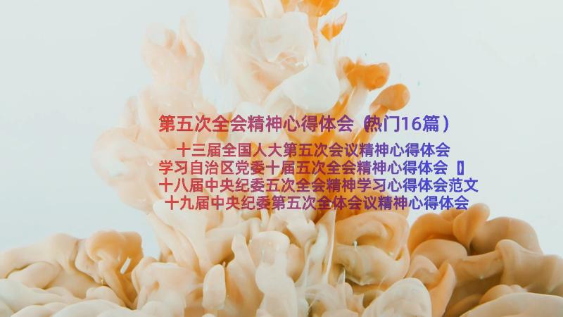 第五次全会精神心得体会（热门16篇）