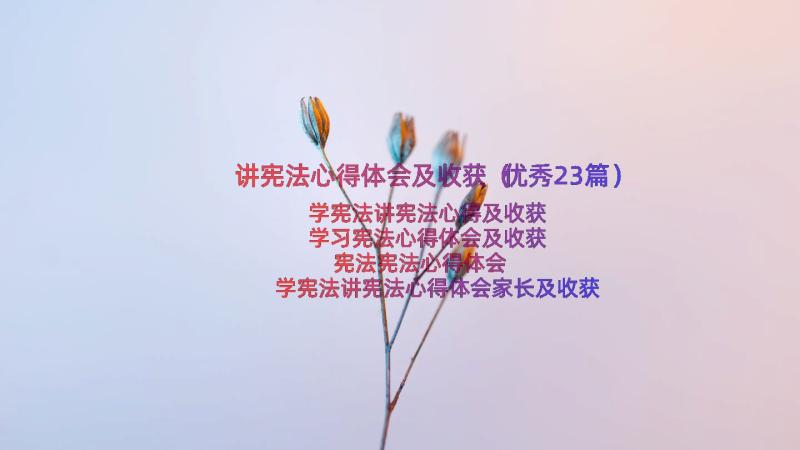 讲宪法心得体会及收获（优秀23篇）