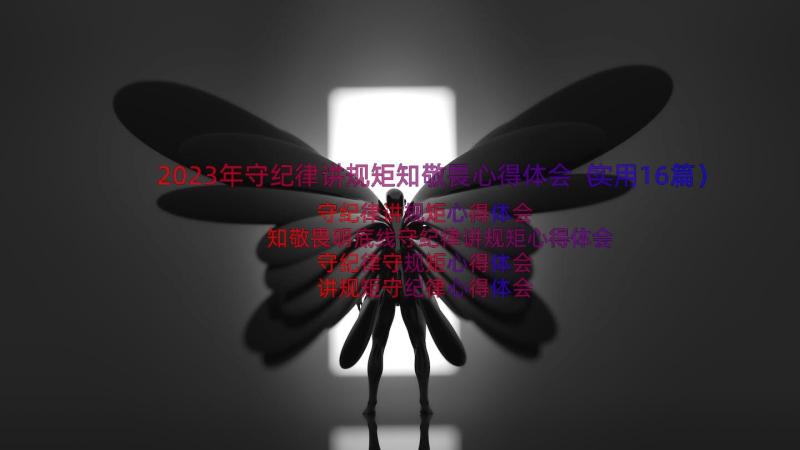 2023年守纪律讲规矩知敬畏心得体会（实用16篇）