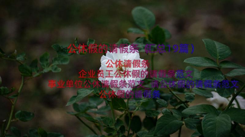 公休假的请假条（汇总19篇）