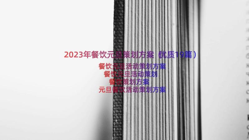 2023年餐饮元旦策划方案（优质19篇）