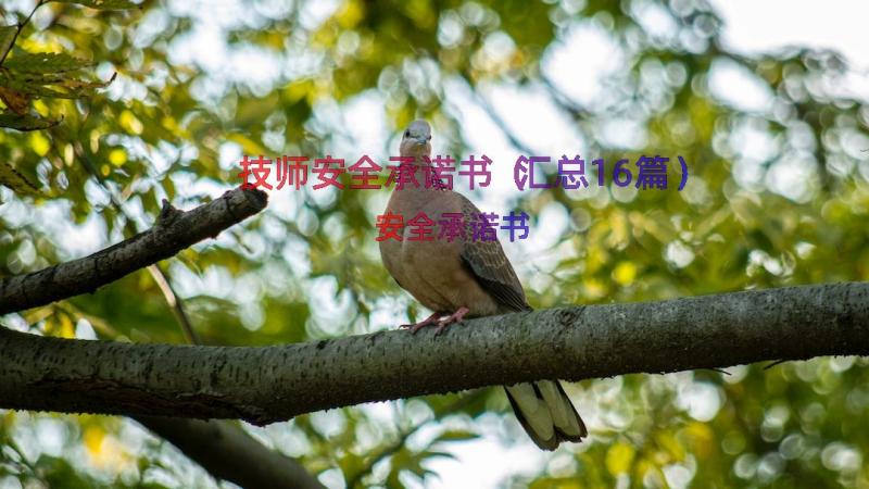 技师安全承诺书（汇总16篇）