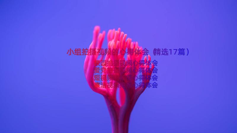 小组拍摄视频的心得体会（精选17篇）