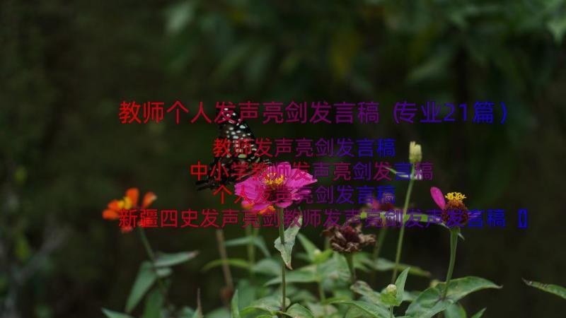 教师个人发声亮剑发言稿（专业21篇）