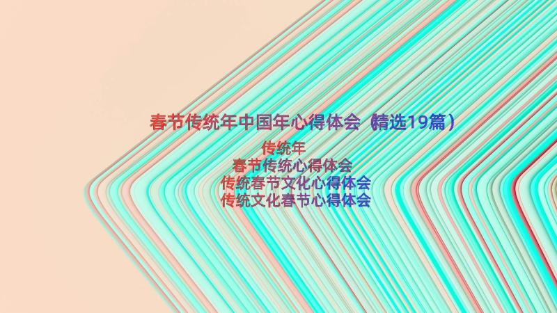 春节传统年中国年心得体会（精选19篇）