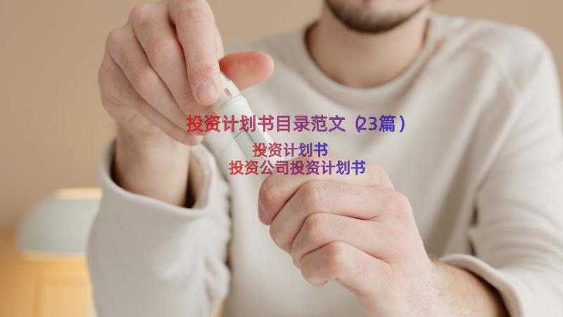 投资计划书目录范文（23篇）