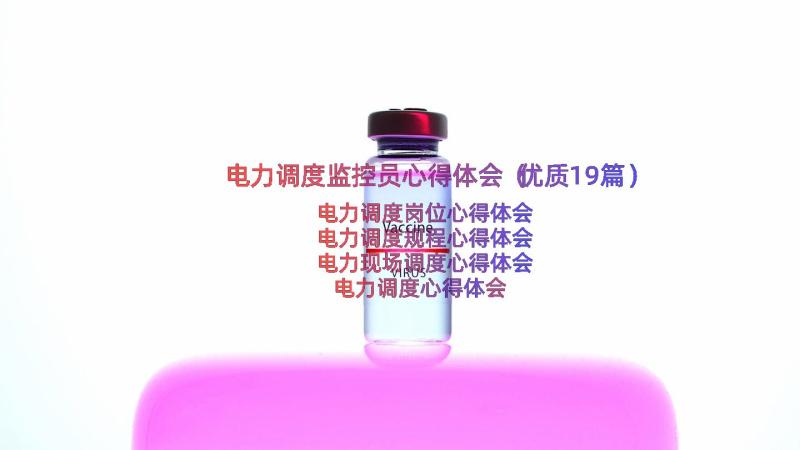 电力调度监控员心得体会（优质19篇）