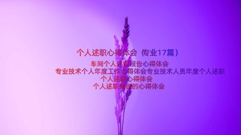 个人述职心得体会（专业17篇）