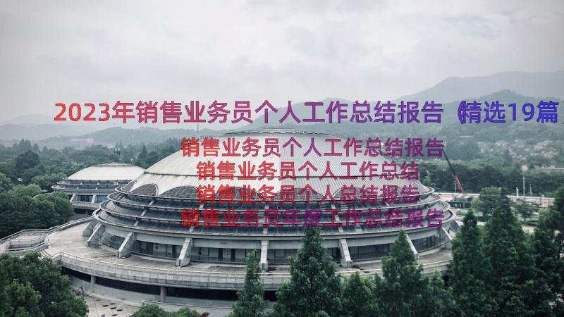 2023年销售业务员个人工作总结报告（精选19篇）