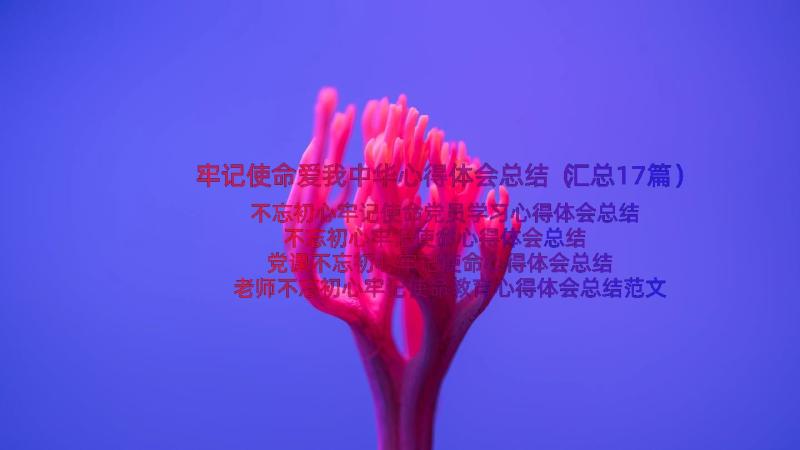 牢记使命爱我中华心得体会总结（汇总17篇）