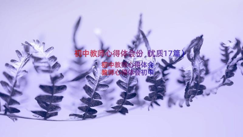 初中教师心得体会份（优质17篇）