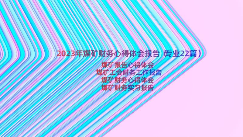 2023年煤矿财务心得体会报告（专业22篇）