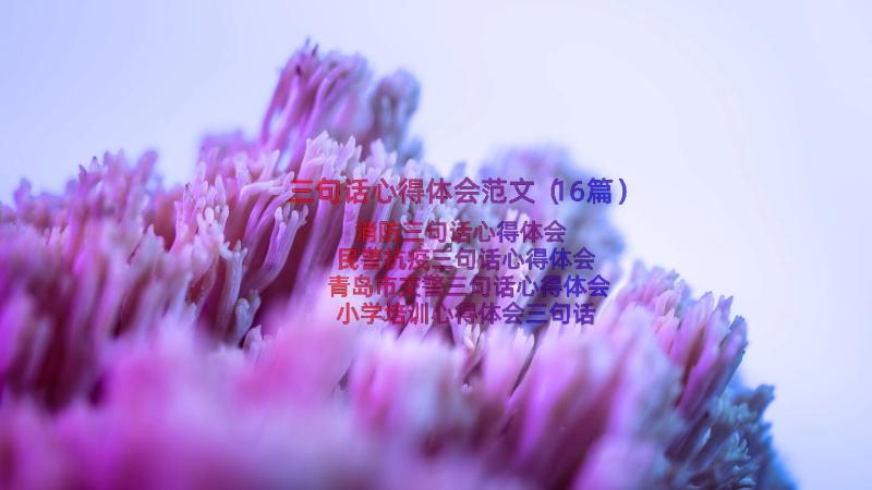 三句话心得体会范文（16篇）