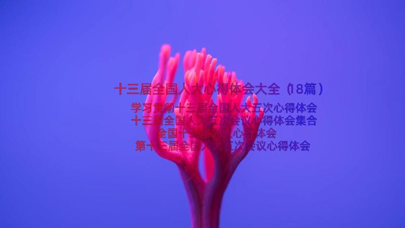 十三届全国人大心得体会大全（18篇）