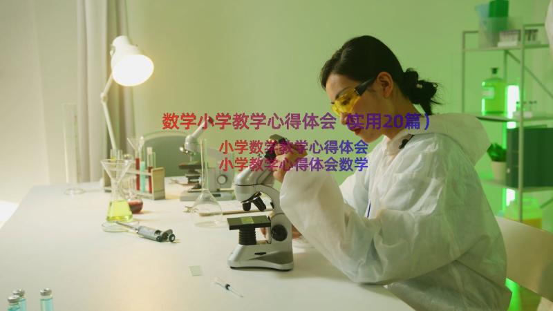 数学小学教学心得体会（实用20篇）