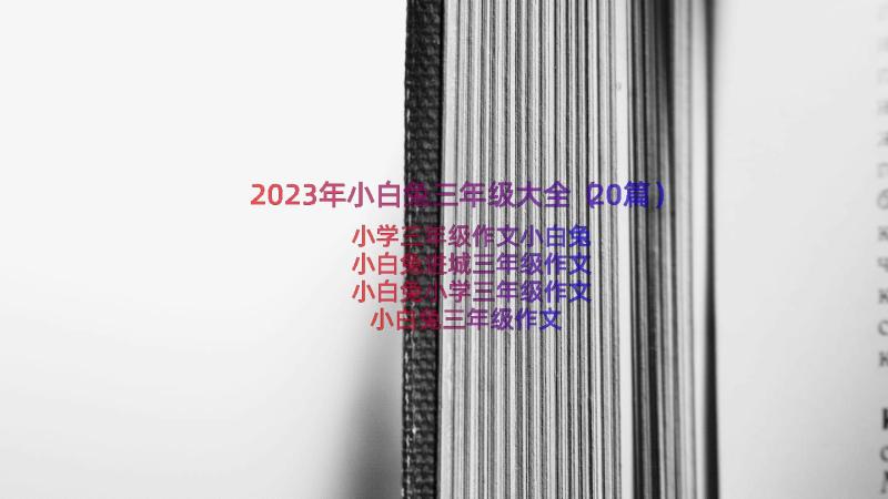 2023年小白兔三年级大全（20篇）