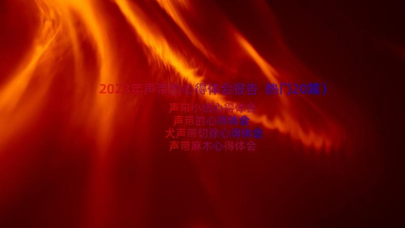 2023年声带的心得体会报告（热门20篇）