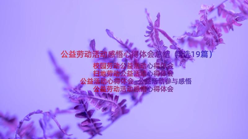 公益劳动活动感悟心得体会总结（精选19篇）