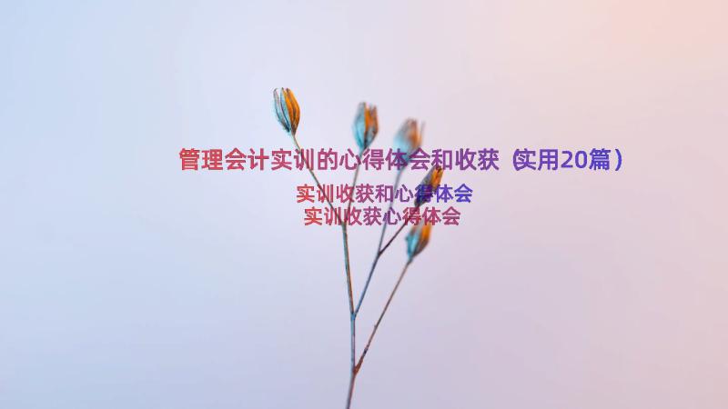 管理会计实训的心得体会和收获（实用20篇）