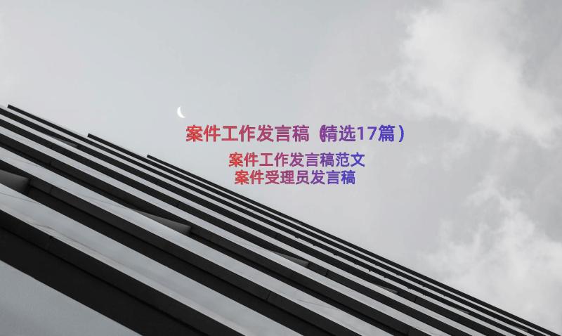 案件工作发言稿（精选17篇）