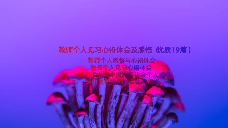 教师个人见习心得体会及感悟（优质19篇）