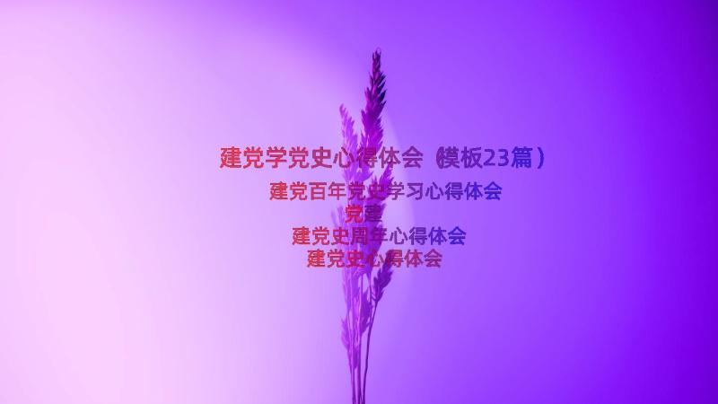 建党学党史心得体会（模板23篇）