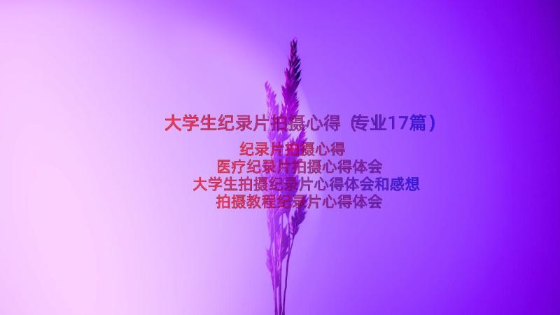 大学生纪录片拍摄心得（专业17篇）