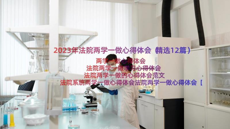 2023年法院两学一做心得体会（精选12篇）