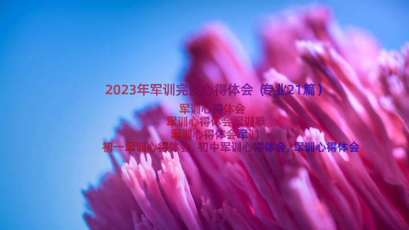 2023年军训完的心得体会（专业21篇）