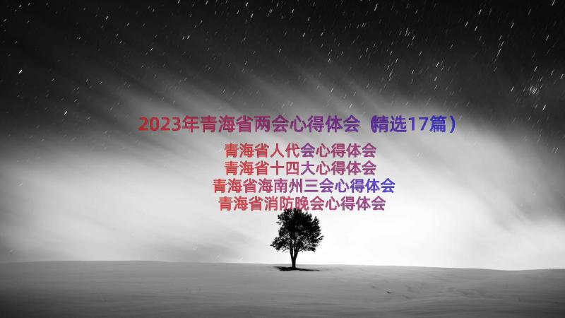 2023年青海省两会心得体会（精选17篇）