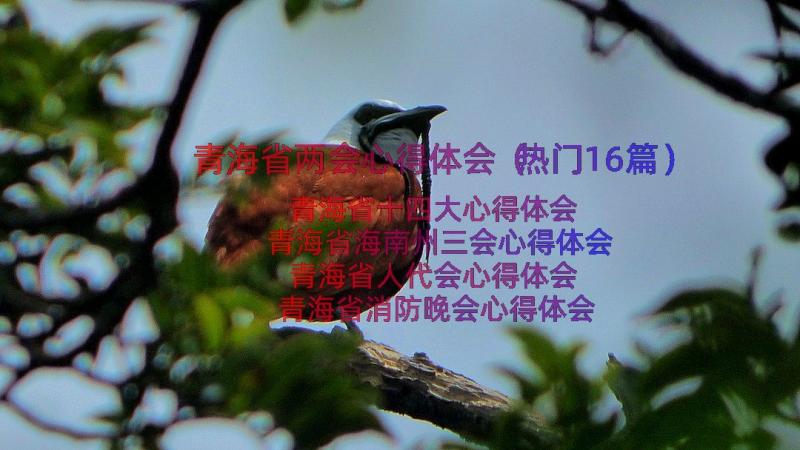 青海省两会心得体会（热门16篇）