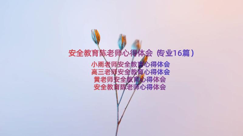 安全教育陈老师心得体会（专业16篇）