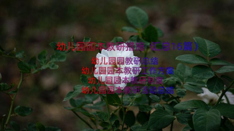 幼儿园园本教研措施（汇总16篇）