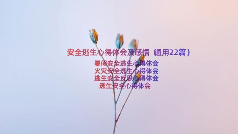 安全逃生心得体会及感悟（通用22篇）