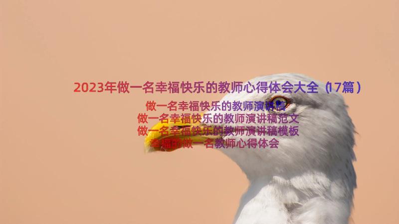 2023年做一名幸福快乐的教师心得体会大全（17篇）