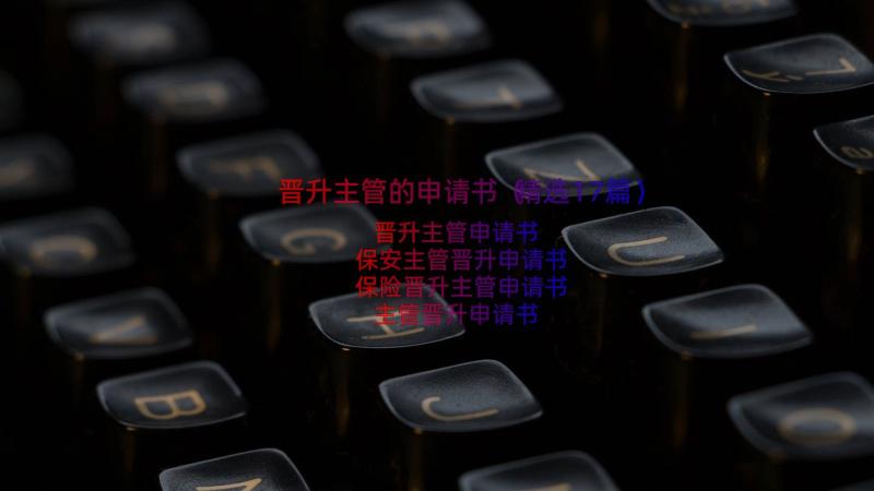 晋升主管的申请书（精选17篇）