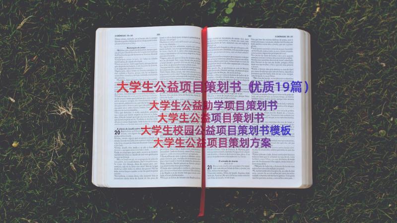 大学生公益项目策划书（优质19篇）