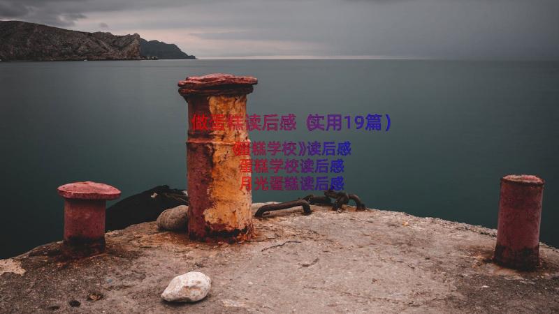 做蛋糕读后感（实用19篇）