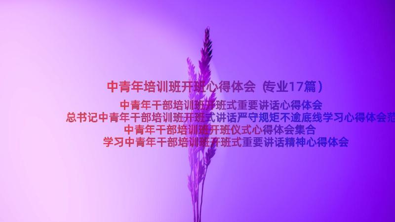 中青年培训班开班心得体会（专业17篇）