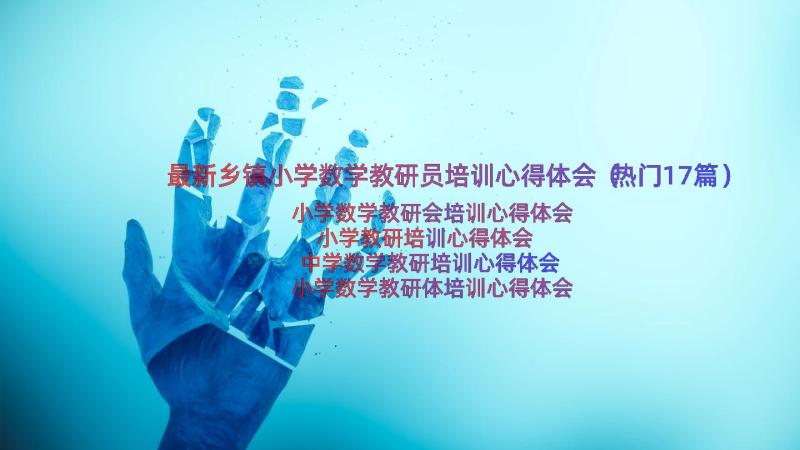 最新乡镇小学数学教研员培训心得体会（热门17篇）