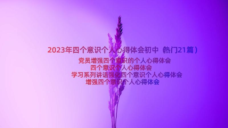 2023年四个意识个人心得体会初中（热门21篇）