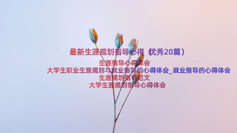 最新生涯规划指导心得（优秀20篇）