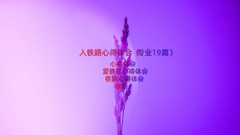 入铁路心得体会（专业19篇）