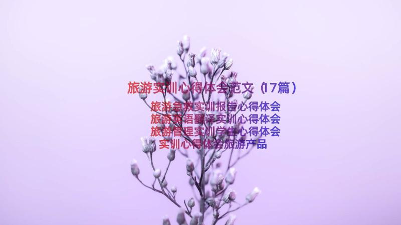 旅游实训心得体会范文（17篇）