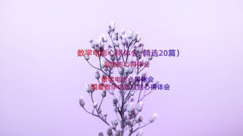 数学电影心得体会（精选20篇）