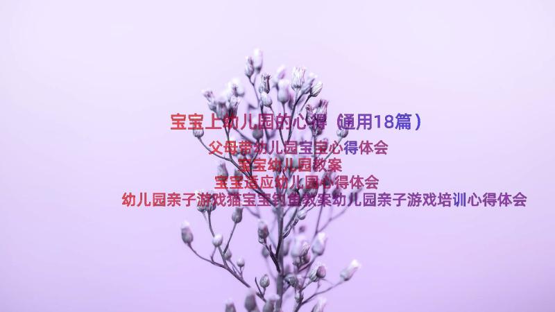 宝宝上幼儿园的心得（通用18篇）